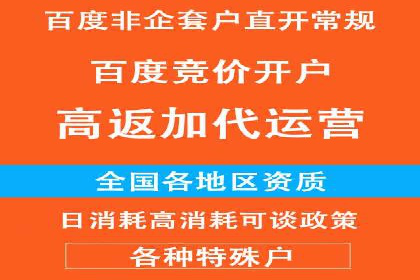 SEM代运营服务公司成功案例解析